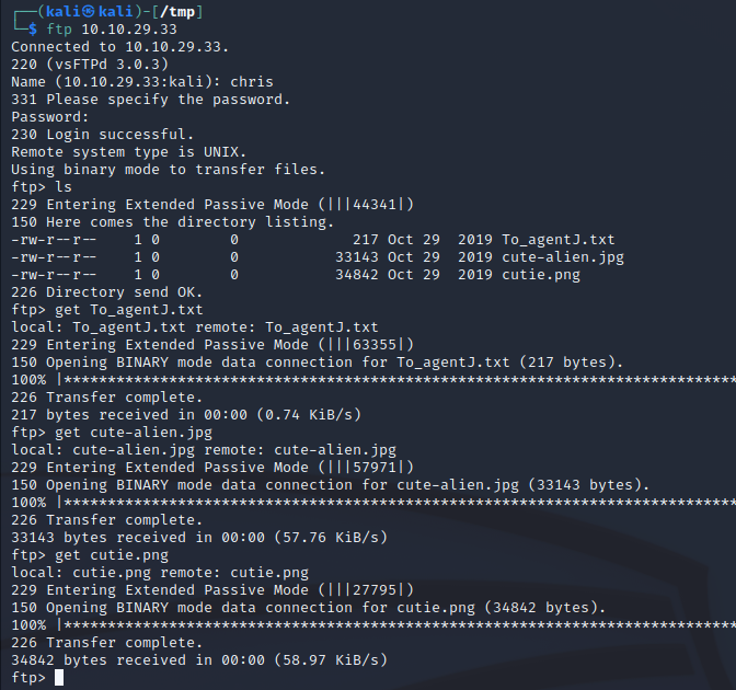 AgentSudo_FTPFiles.png