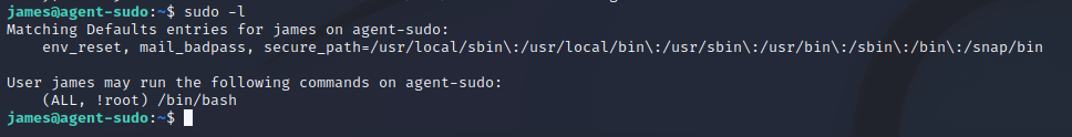 AgentSudo_SudoList.png
