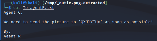 AgentSudo_ToR.png