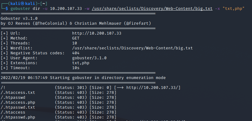 GoBuster-DirectoryScan.png
