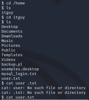 LazyAdmin_UserFlag.png