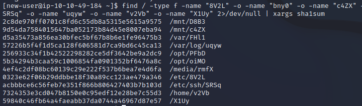 Ninja_sha1.png