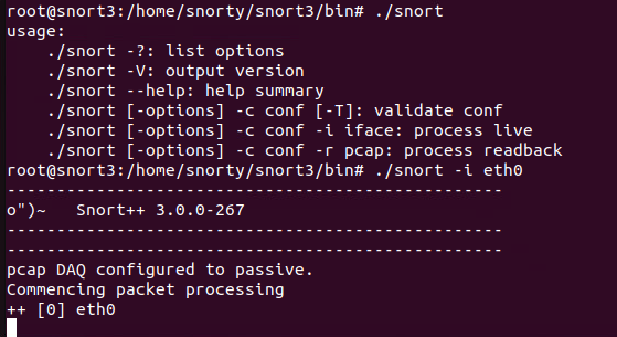 Snort_AsRoot.png