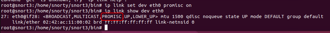 Snort_ContainerPromisc.png