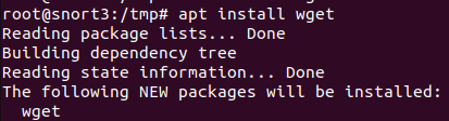 Snort_InstallWget.png