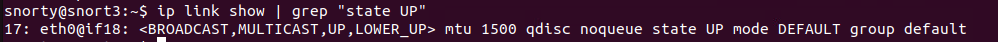 Snort_LinkState.png