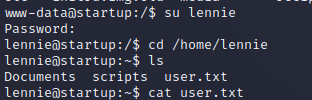 Startup_BeLennie.png