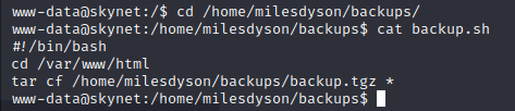 Terminator_Backupscript.png