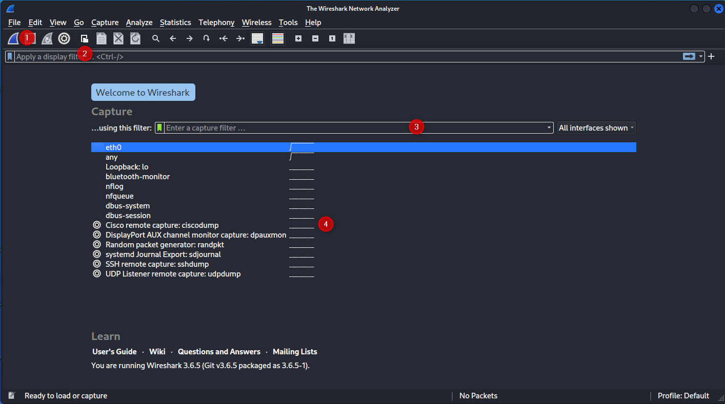 Wireshark_Landing.png